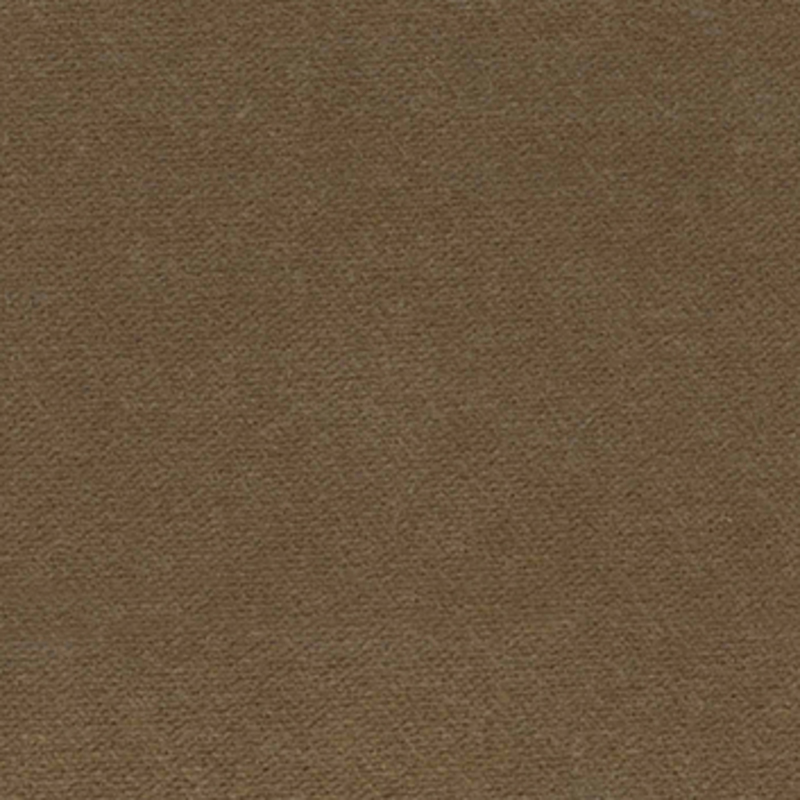 Cinema — Porcini