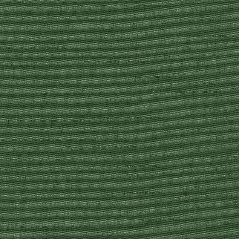 Kensington — Rain Forest
