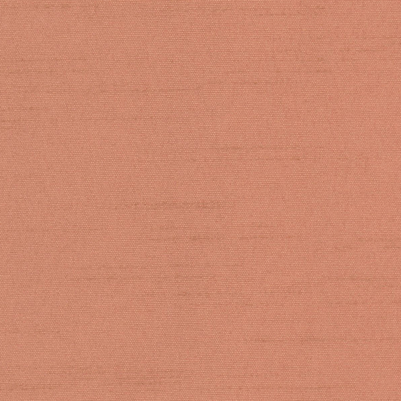 Kensington — Salmon