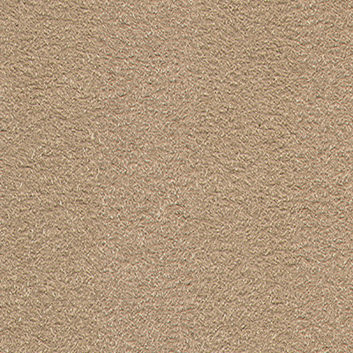 Sensuous — Buckskin