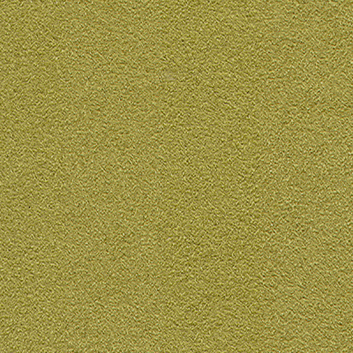 Sensuous — Celery