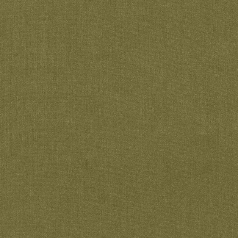 Shimmer — Olive