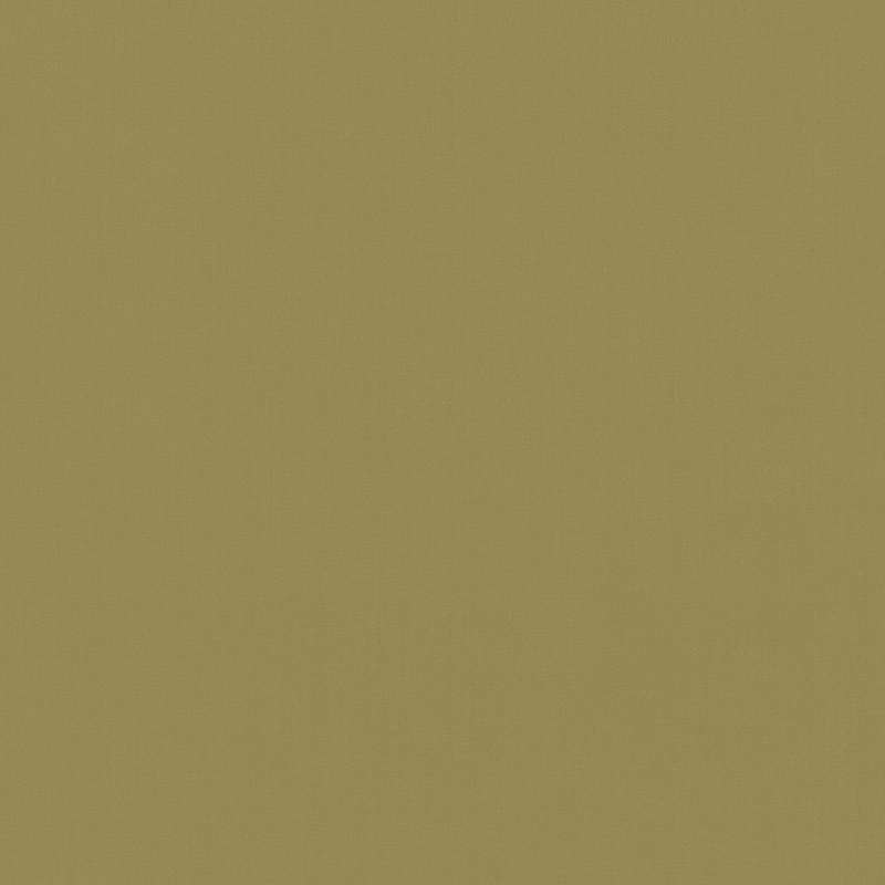 Shimmer — Pino