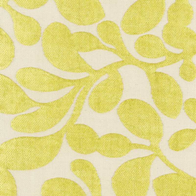 Thistle — Citron
