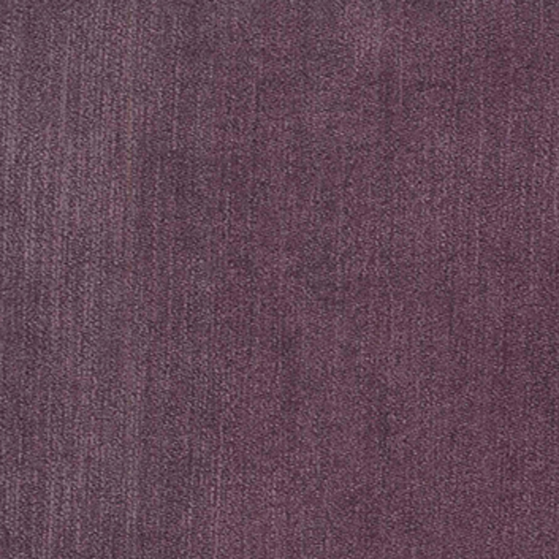 Titan — African Violet