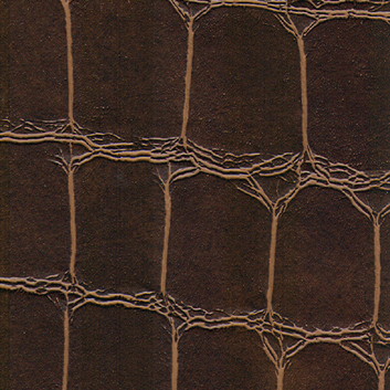Valid-S — Allspice
