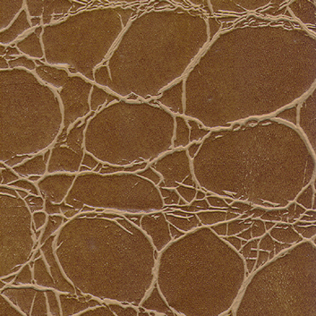 Valid-S — Caramel