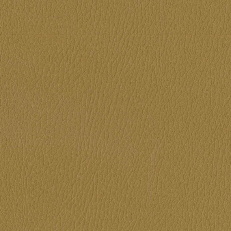 Vibe-S — Algae