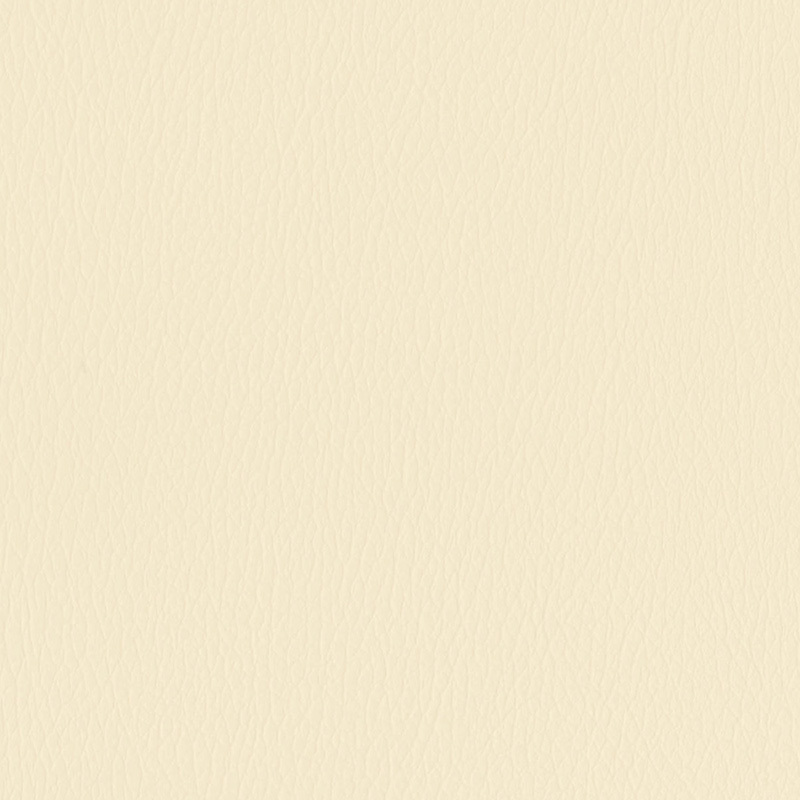 Vibe-S — Canvas